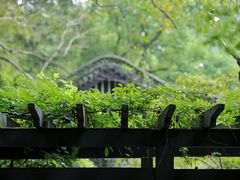 -杭州植物园