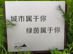 -哈尔滨大剧院