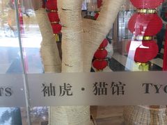 -袖虎·猫馆(体育西路店)