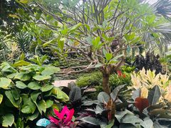 -济南植物园
