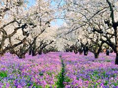 -江苏三台山国家森林公园
