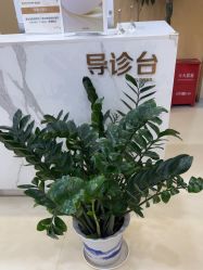 -南京康美美容医院·旗舰店