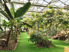 -呀路古热带植物园