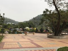 -石排湾郊野公园