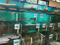 水产区-琼大师东方烤乳猪(亚特兰蒂斯店)
