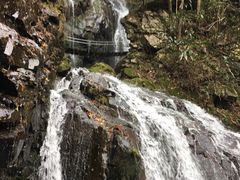 -藏龙百瀑风景区