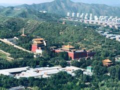 -清真喜兰老丁羊汤特色小吃