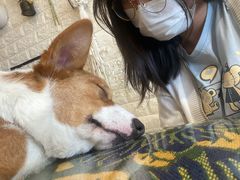 -平行世界·猫咖(首经贸店)