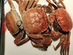 -星伦多自助料理·涮烤一体(嘉兴八佰伴店)