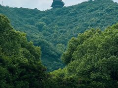 -杭州半山国家森林公园