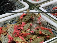 -霞涌市场海鲜摆卖区