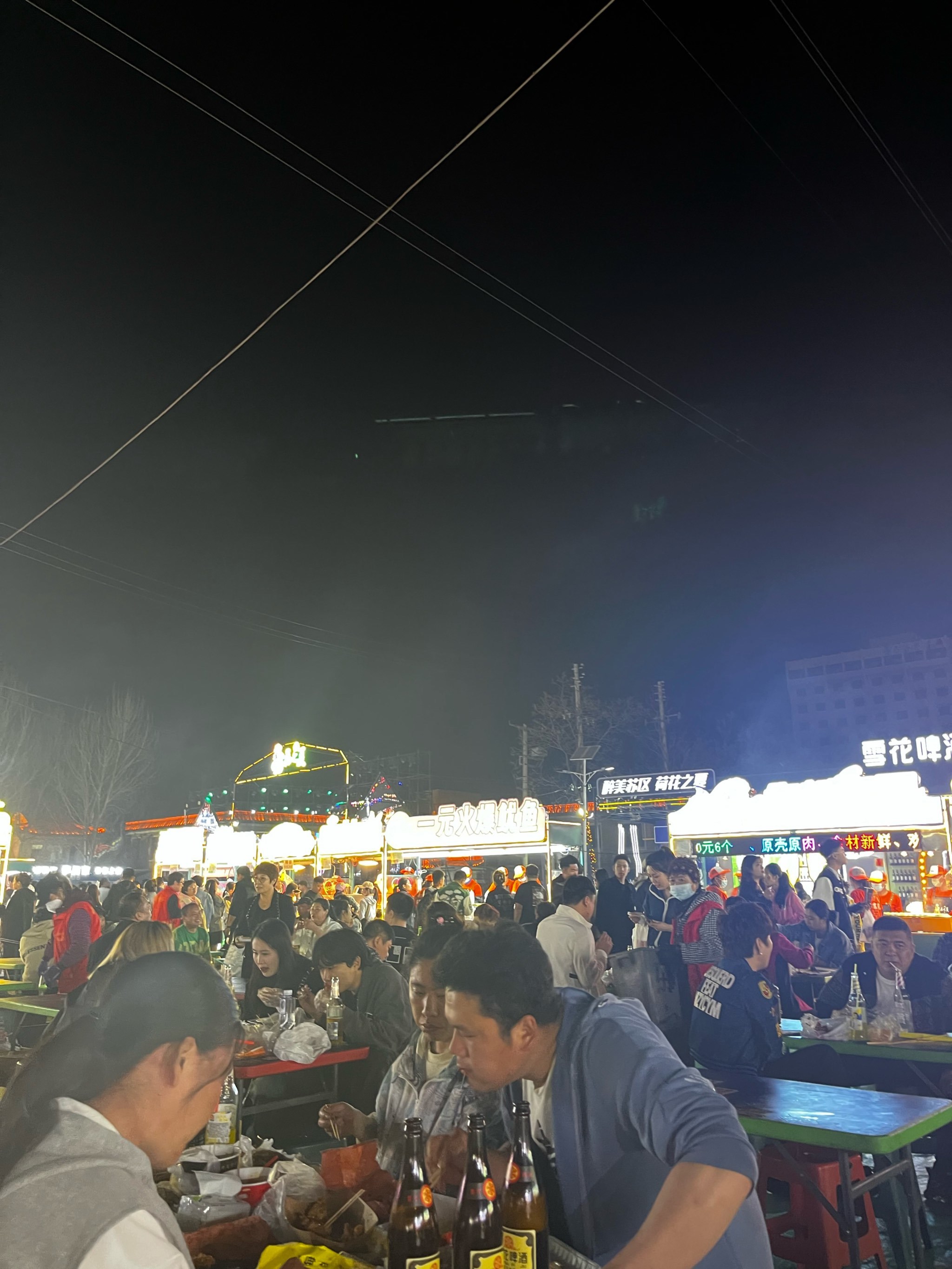 苏家屯天气天气大全