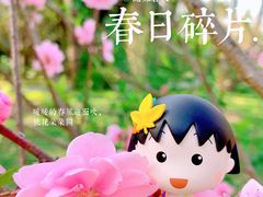 -上海滨江森林公园