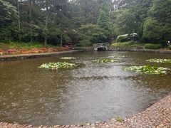 -庐山风景区花径公园