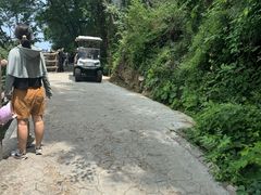 -少华山国家森林公园