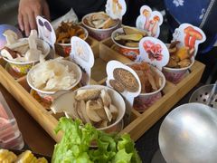 -菌自由丨野生菌火锅特色庭院餐厅(丽江古城店)
