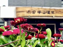 -天目湖涵田半山温泉