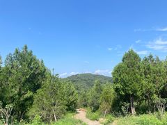 -北京西山国家森林公园