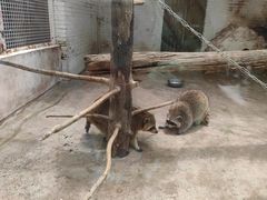 -金庭庄园酒店-停车场