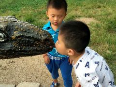 -祥源·阜阳生态乐园