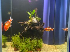 -欢乐海岸海洋奇梦馆