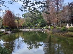 -中山市树木园