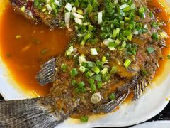 罗非鱼-草墩罗非鱼庄•野生菌•腊排骨(七星街上段店)