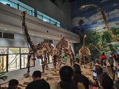 -自贡恐龙博物馆