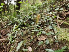 -宁波市保国寺古建筑博物馆