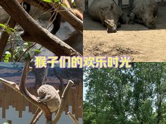 -红山森林动物园