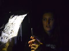 -怀托摩萤火虫洞