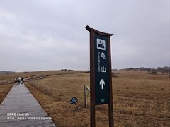-御道口草原森林风景区