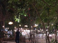 -陶缘一号·四季缘·老字号顺德菜·户外婚礼家宴(西滘店)