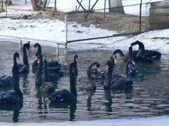 -长白岛森林公园