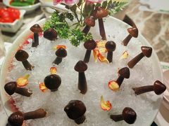 -禄婶鸡煲·打边炉