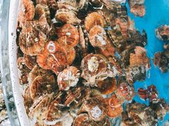 -沿海渔家院海鲜烧烤·东北菜(东戴河店)