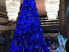-上海金桥红枫万豪酒店-万豪中餐厅