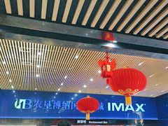 -农垦博纳国际影城(津奥广场IMAX店)
