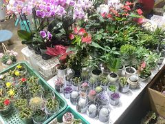 -循礼门鲜花花市(武汉循礼门店)