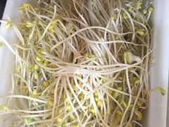 豆芽-佘记全家福芋儿鸡(向阳街总店)