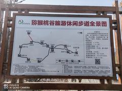 -大岭沟猕猴桃谷风景区
