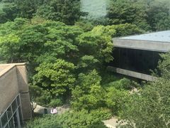-雪绿茶博物馆