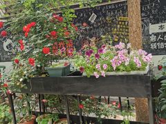 -又见炊烟私房菜(敬亭路店)