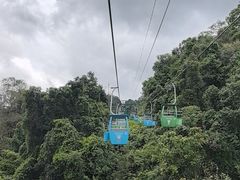 -野象谷景区