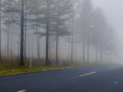 -塞罕坝国家级自然保护区