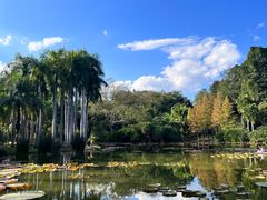 -中国科学院西双版纳热带植物园