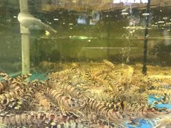-渔乐圈海鲜餐厅(群力金江路店)