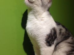 -川里谈·川味小馆(北京路店)