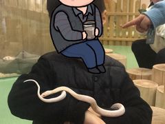 -藦茜花园宠物主题亲子互动体验馆(国顺东路店)
