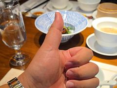 -觀芷隐轩